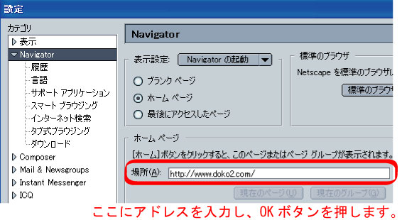 Netscape設定画面